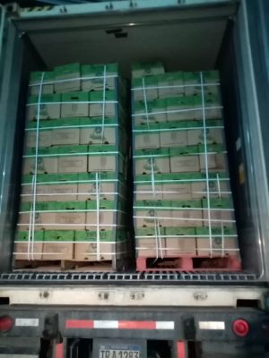 Limón Persa - Exportadora Y Distribuidora Tikvah